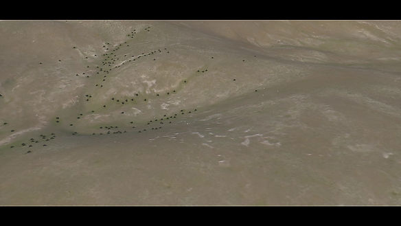3D Flyover of the C Company Area of Operations
